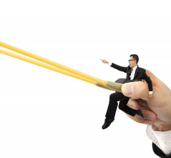 金龍魚龍魚解禁股是什么時候