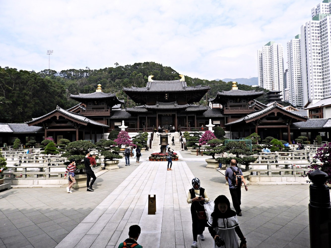 哈爾濱市道外區吉利花魚水景店