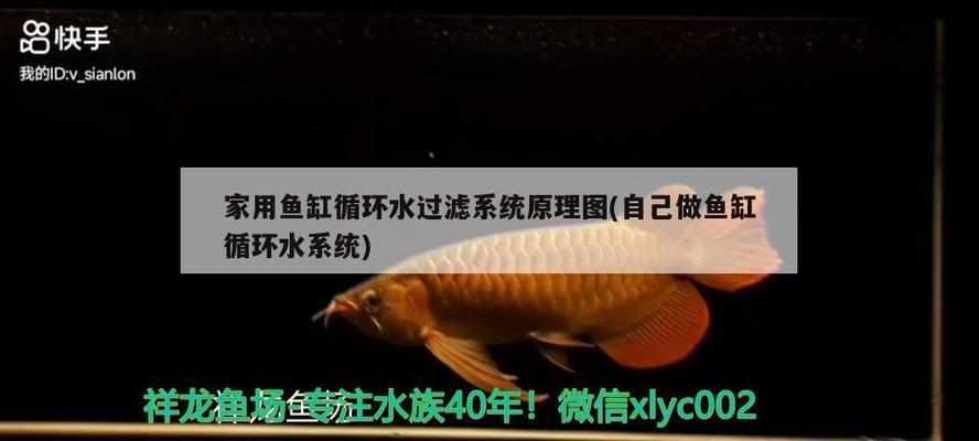 天<strong><mark>津市</mark></strong>津榮龍匯觀賞魚店