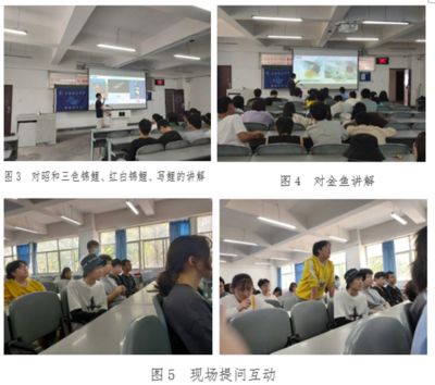 龍魚常見品種飼養(yǎng)與現(xiàn)狀研究報(bào)告總結(jié)：龍魚常見品種飼養(yǎng)與現(xiàn)狀研究報(bào)告總結(jié)龍魚的飼養(yǎng)與現(xiàn)狀 龍魚常見品種飼養(yǎng)與現(xiàn)狀研究報(bào)告總結(jié)：龍魚常見品種飼養(yǎng)與現(xiàn)狀研究報(bào)告總結(jié)龍魚的飼養(yǎng)與現(xiàn)狀 龍魚百科 第2張