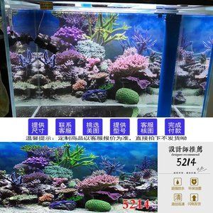 龍魚魚缸壁紙：龍魚缸壁紙推薦