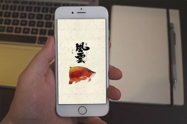 龍魚壁紙超清手機(jī)版，龍魚壁紙超清手機(jī)版_龍魚壁紙動態(tài)版下載