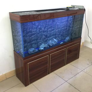 龍魚底濾用什么濾材：養龍魚底濾用什么濾材，龍魚底濾用什么濾材好 龍魚底濾用什么濾材：養龍魚底濾用什么濾材，龍魚底濾用什么濾材好 龍魚百科 第2張