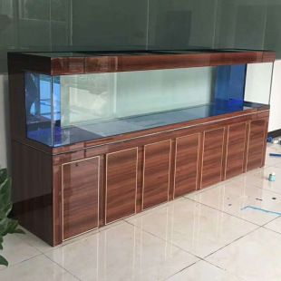 龍魚底濾用什么濾材：養龍魚底濾用什么濾材，龍魚底濾用什么濾材好 龍魚底濾用什么濾材：養龍魚底濾用什么濾材，龍魚底濾用什么濾材好 龍魚百科 第1張