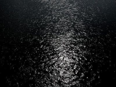 黑水對(duì)龍魚(yú)有什么作用：黑水對(duì)龍魚(yú)的作用與影響