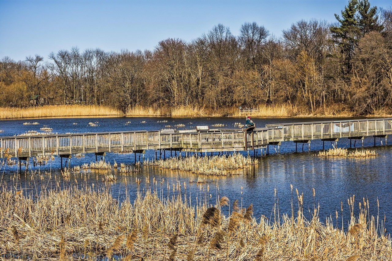 雅安市名山區亭江觀賞魚展示園(雅安市名山區亭江觀賞魚展示園地址) 全國水族館企業名錄 第1張 雅安市名山區亭江觀賞魚展示園(雅安市名山區亭江觀賞魚展示園地址) 雅安市名山區亭江觀賞魚展示園(雅安市名山區亭江觀賞魚展示園地址) 全國水族館企業名錄 第1張