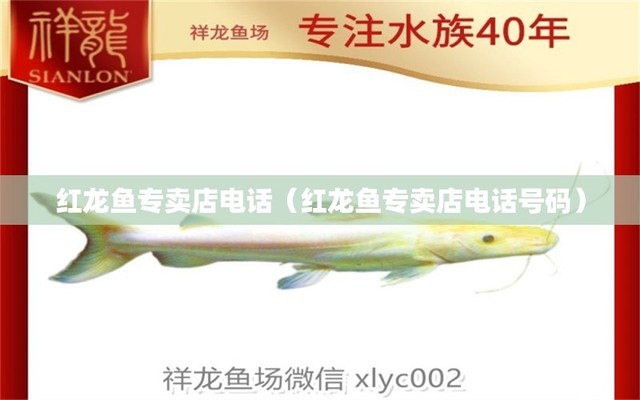 杭州市上城區銀龍水族館（杭州市上城區銀龍水族館地址）