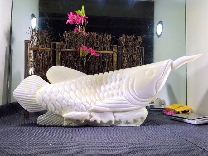 北海龍魚圖片欣賞圖