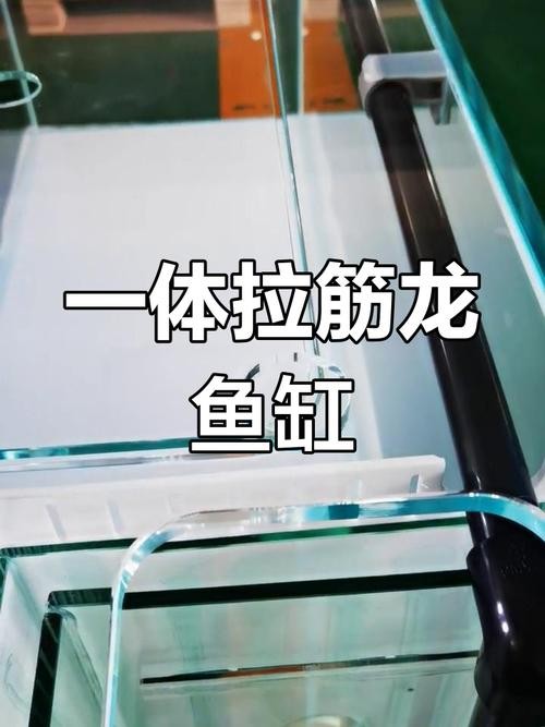 龍魚缸diy制作圖解