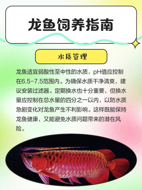 如何預(yù)防龍魚(yú)松鱗病的復(fù)發(fā)？