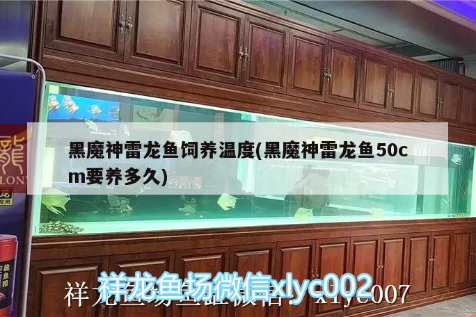 濟南市天橋區<strong><mark>福海</mark></strong>水族店