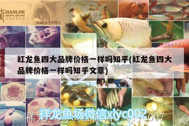 濟南市天橋區福海水族店