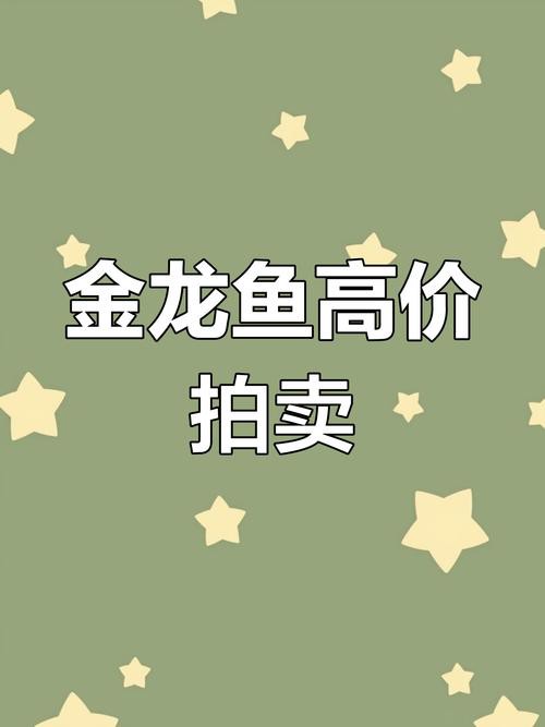 一條金龍魚大約多少錢一斤啊