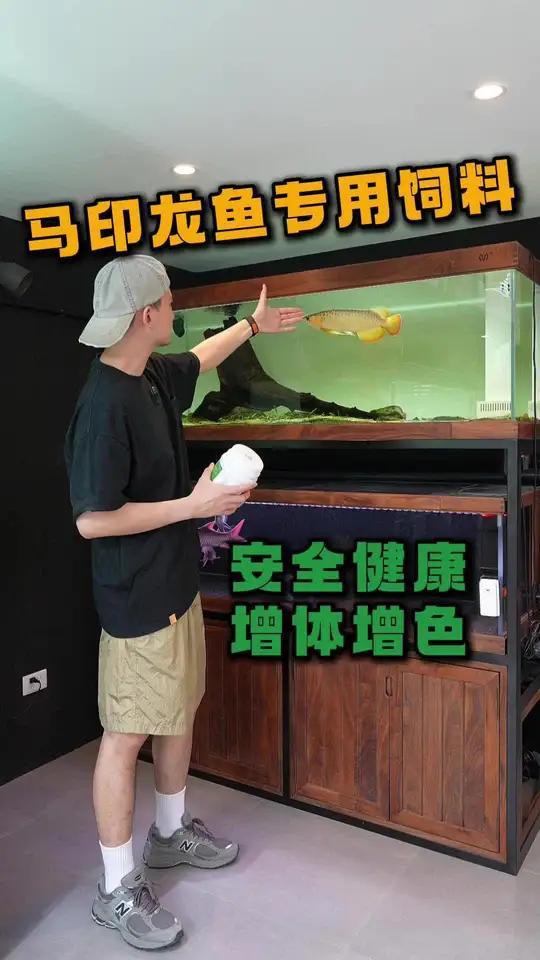 有哪些龍魚飼料是發色專用 有哪些龍魚飼料是發色專用 龍魚百科 第2張