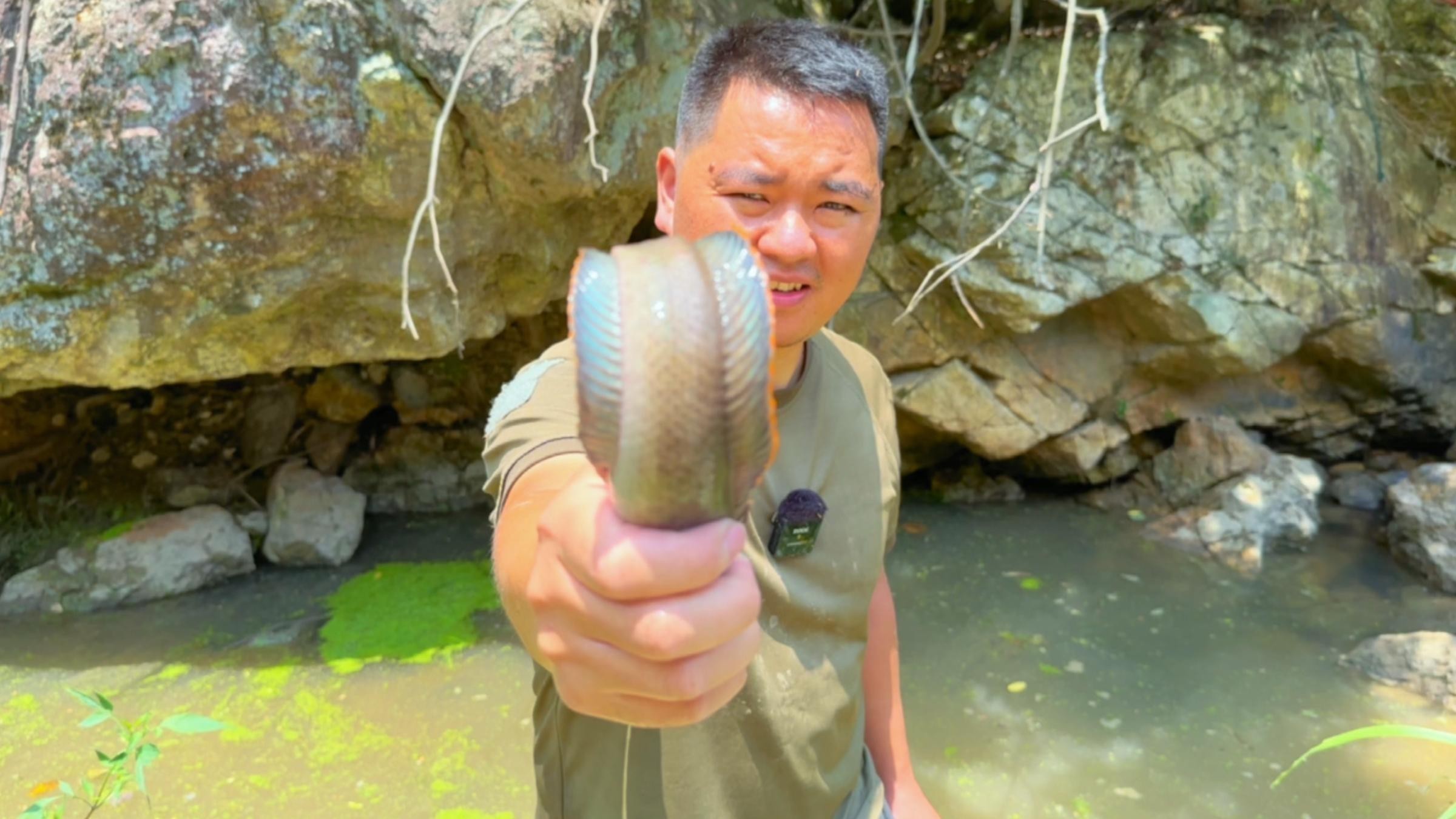 雷龍魚養多久才不會跳缸