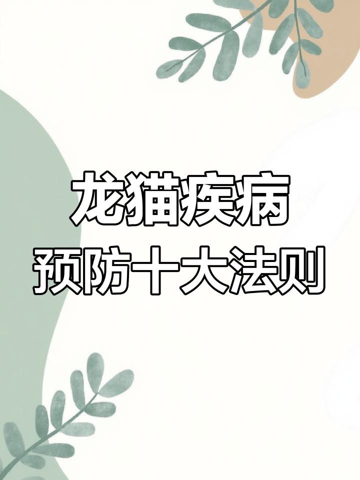 如何預防龍貓的常見疾病？ 如何預防龍貓的常見疾病？ 龍魚百科 第1張