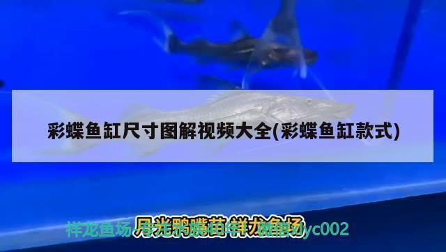 大连中山公园购物广场印龙坊水族馆（大连中山公园酒店）