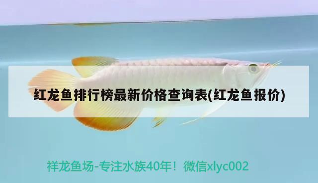 江門市堤東金龍水族店