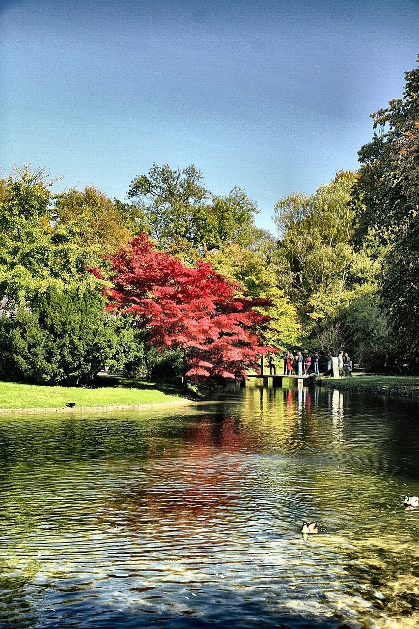 黔東南雷山縣達地水族鄉鵬成生態種養殖農民專業合作社
