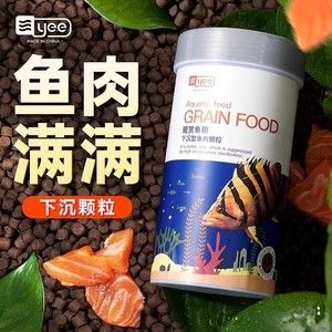 銀龍魚可以喂錦鯉飼料嗎（銀龍魚可以吃錦鯉嗎？） 銀龍魚可以喂錦鯉飼料嗎（銀龍魚可以吃錦鯉嗎？） 龍魚百科 第4張