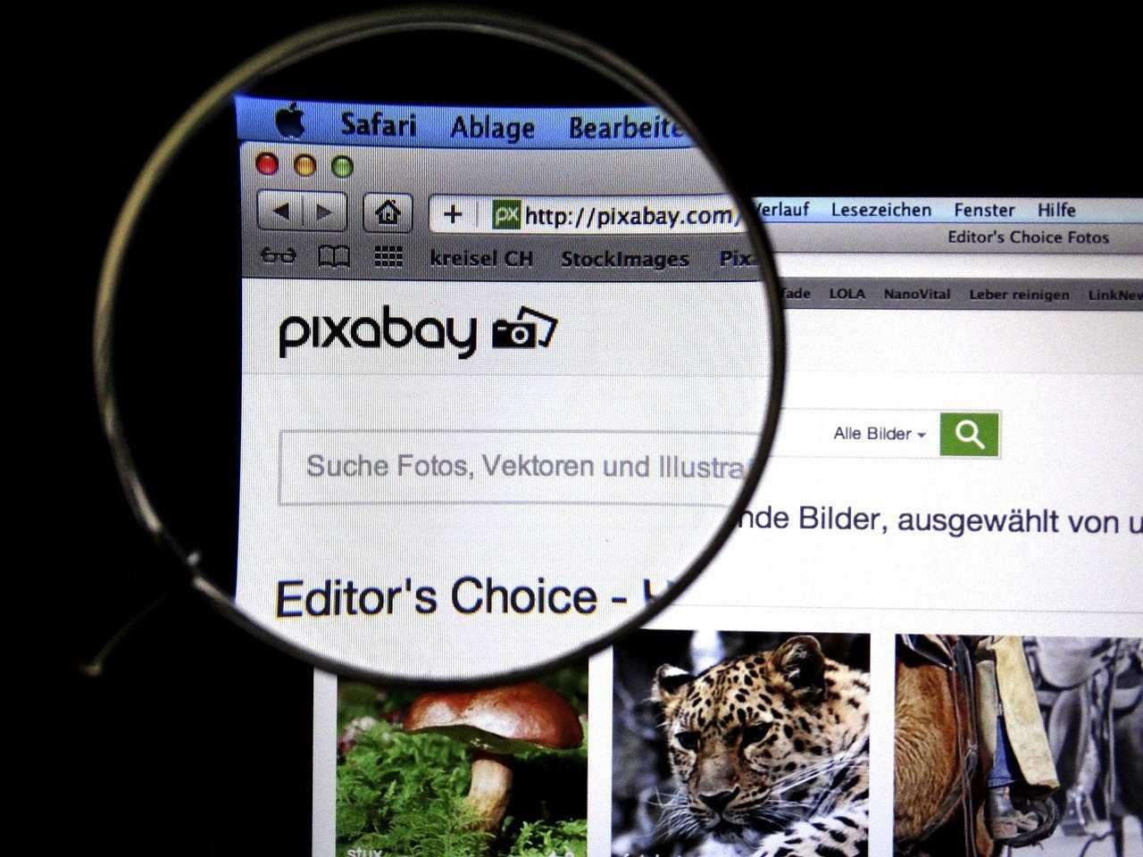 天津濱海新區(qū)欣苒水族用品經(jīng)營網(wǎng)店