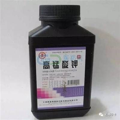 高錳酸鉀對龍魚有啥害處：關于高錳酸鉀對龍魚害處的一些詳細信息