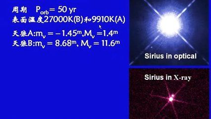 27000k發(fā)色燈對龍魚的影響：27000k發(fā)色燈對龍魚發(fā)色燈對龍魚的影響