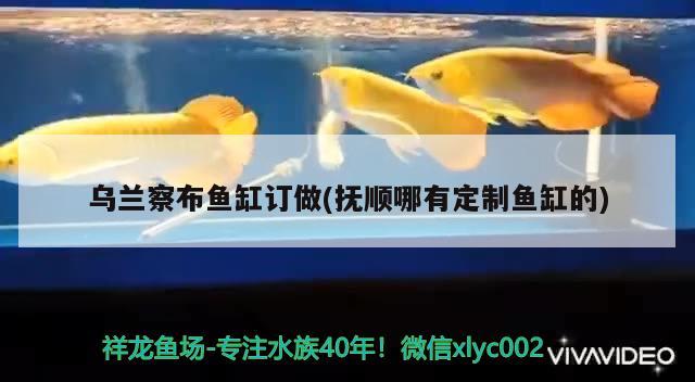 桂林市七星區金華彩擴沖印店