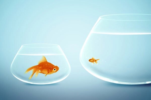 龍魚白眼病多久會好？