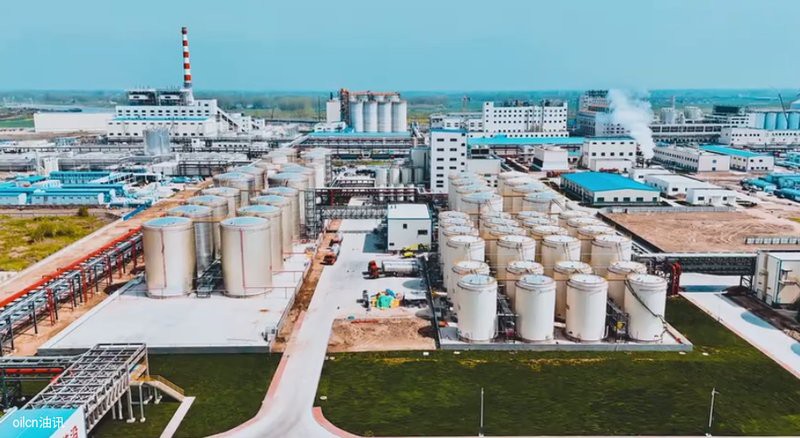 金龍魚在河南有多少個廠家直銷的