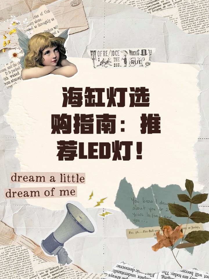 銀龍魚照明燈具需要多久更換一次？