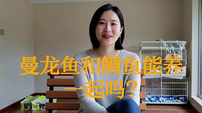 曼龍魚和三湖慈鯛混養(yǎng)