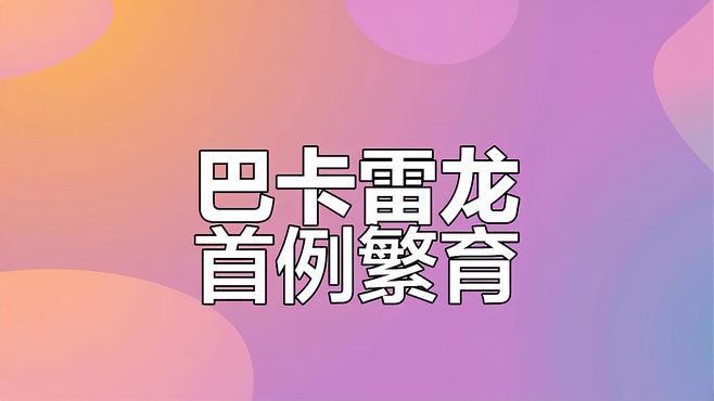 人工繁殖巴卡雷龍魚怎么養殖