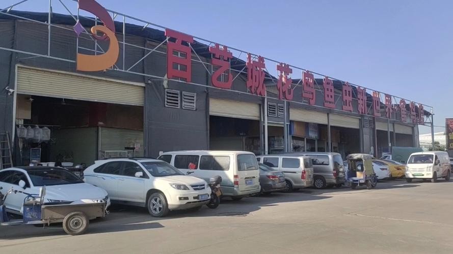 龍魚養(yǎng)殖需要什么樣的水質？