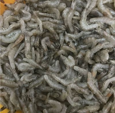 龍魚怎么喂凍的蝦：喂食龍魚凍蝦時，需要注意以下幾點