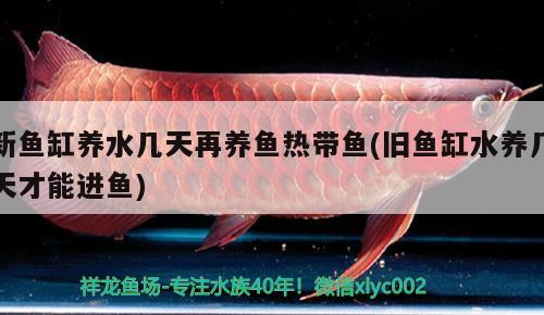 丹陽(yáng)市云陽(yáng)鎮(zhèn)怡心觀賞魚(yú)經(jīng)營(yíng)部（丹陽(yáng)市云陽(yáng)鎮(zhèn)怡心觀賞魚(yú)經(jīng)營(yíng)部地址）