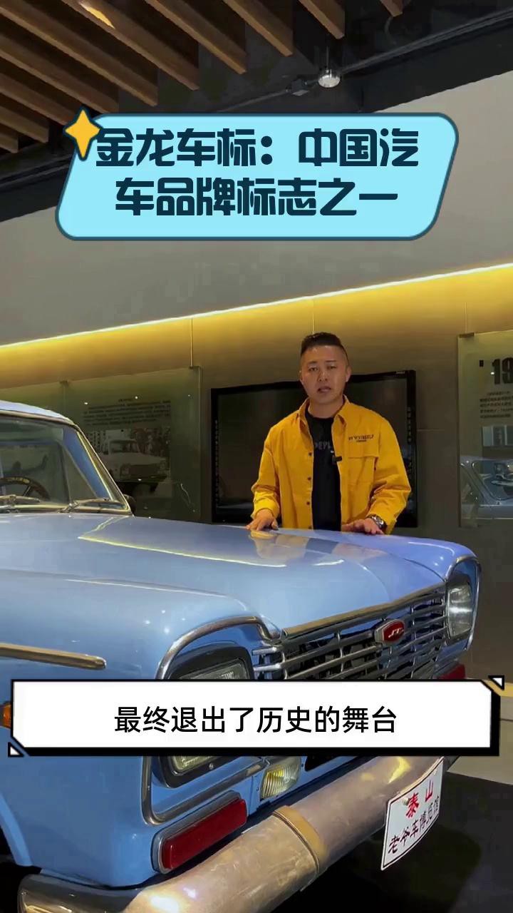 有沒有更多金龍風格分類？