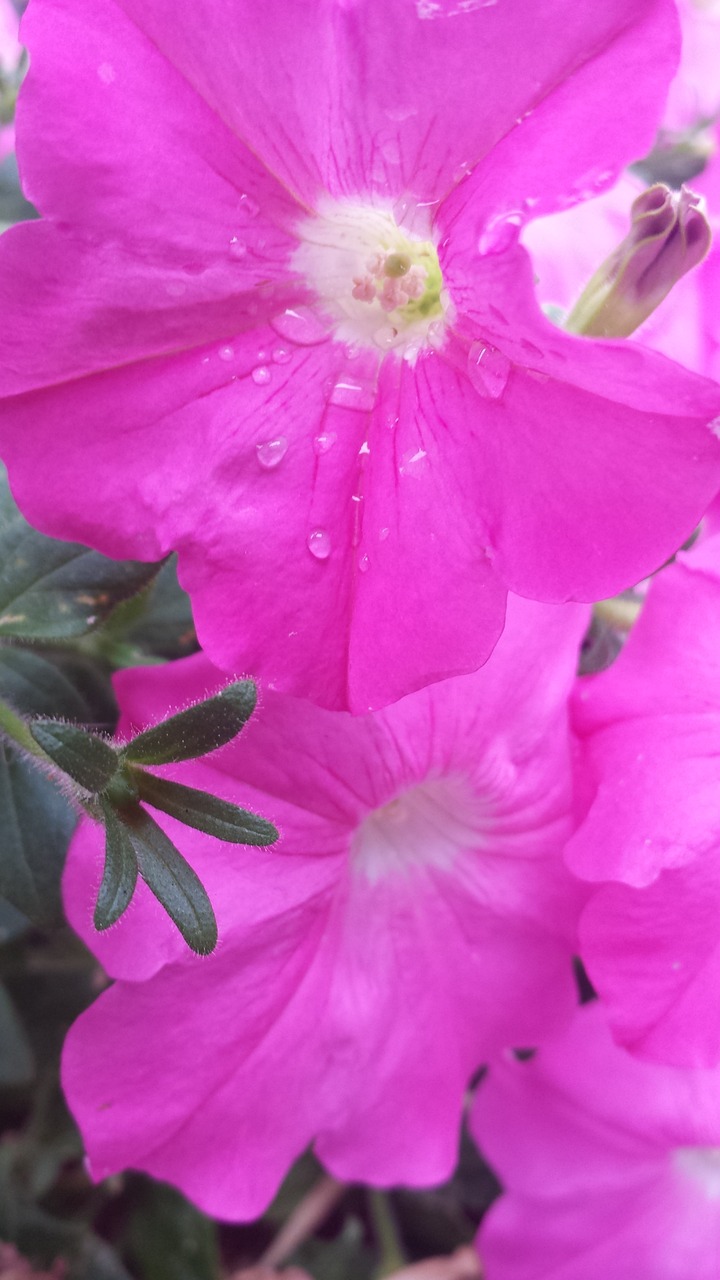 天寧區茶山奧奧花卉店（天寧區茶山奧奧花卉店地址）