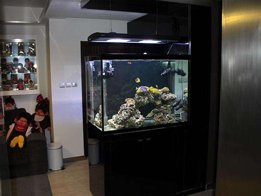 杭州余杭區南苑街道尋龍訣水族館（杭州余杭區南苑街道尋龍訣水族館電話）