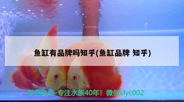 萊蕪二手魚缸出售最新信息電話和萊蕪二手魚缸交易市場對應的相關信息，萊蕪二手魚缸出售最新信息電話、萊蕪二手魚缸交易市場