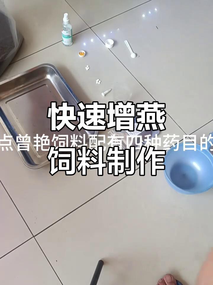 如何自制紅龍魚發色飼料？