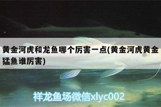 綏江縣水族館水產品店（綏江縣水族館水產品店地址）