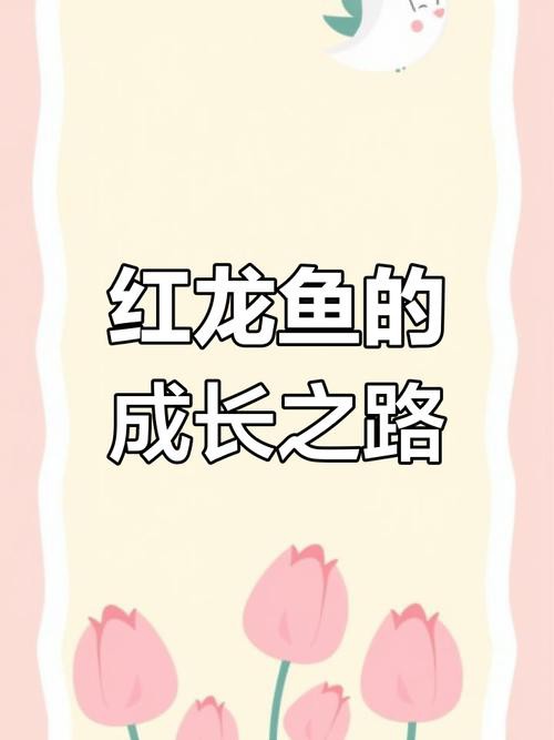 紅龍魚一年能長多大的魚卵圖片