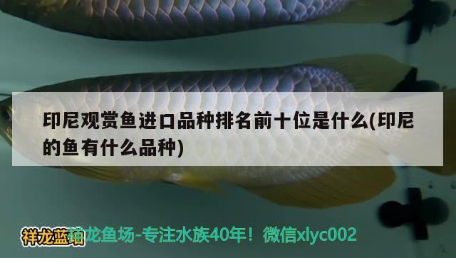 武進高新區何鵬飛花草店 武進高新區何鵬飛花草店 全國水族館企業名錄 第1張