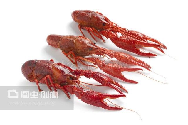 小龍魚的營養價值有哪些？：小龍魚的營養價值