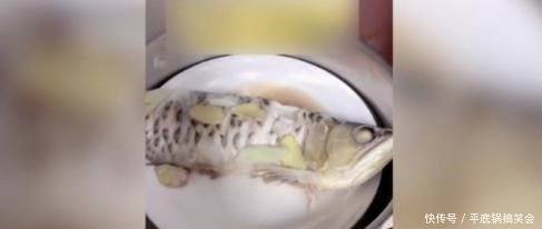 金龍魚吃魚肉嗎：金龍魚可以吃嗎360問答金龍魚的肉好吃嗎 金龍魚吃魚肉嗎：金龍魚可以吃嗎360問答金龍魚的肉好吃嗎 龍魚百科 第1張
