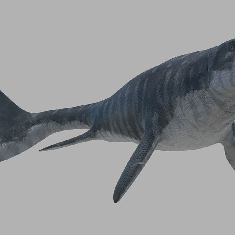 霍夫曼滄龍和海王龍有交戰(zhàn)記錄嗎？