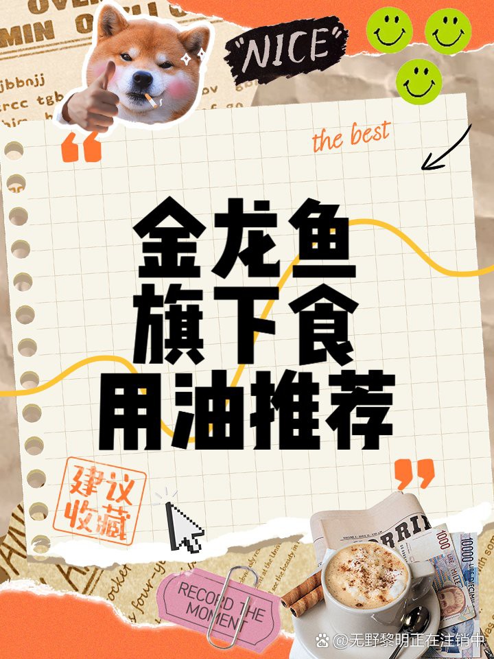 金龍魚批發市場有哪些主要產品？