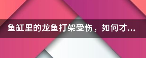 龍魚缸的水多久換一次：龍魚撞缸受傷了能自愈嗎