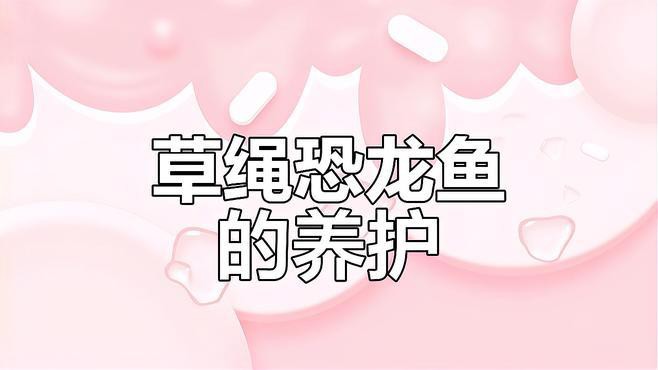 小恐龍魚圖片欣賞